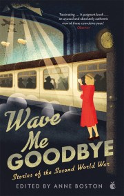 Wave Me Goodbye